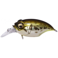 GG Bass