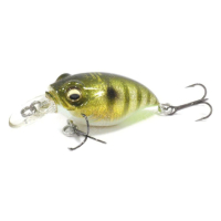 GLX GALAXY GILL
