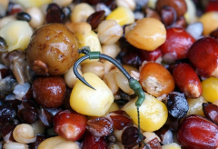 Гачки Ridge Monkey Beaked Point