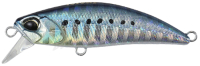 AHA0011 Sardine