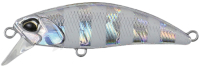 GJA0101 Zebra Glow