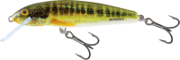 HRM