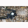 Ліхтар Fenix HL21 Cree XP-E — фото 5