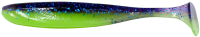 # 06 violet lime berry