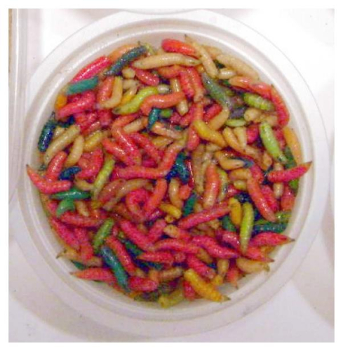 Опарыш фасованый "Пинка"