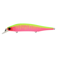 PITAYA MAT TIGER