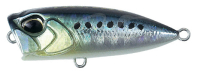 AHA0011 Sardine