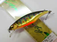 # TAKUMI IWANA