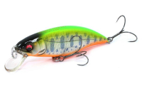 # LZ LIME BACK OB