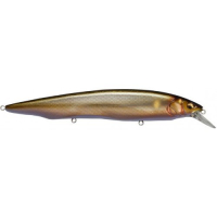 Wagin Ochi Ayu