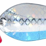 Блешня Jaxon Holo Reflex Atlas №3/17г — фото 9
