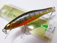 # TAKUMI IWANA