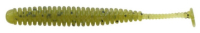 # 001 Watermelon Seed