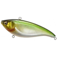 M Green Back Shad