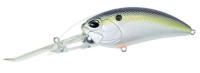 ACC3083 American Shad