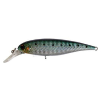 # 144 Sardine