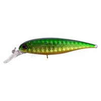 # 146 Green Back gold