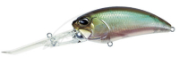 GEA3006 Ghost Minnow