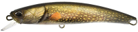 ACC3820