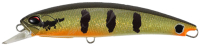 ADA3327 Peacock Bass
