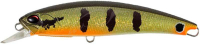 AOA3327 Peacock Bass HD