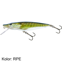 RPE       