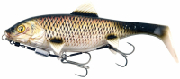 Roach