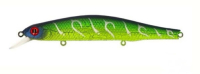 # A003 Green Lizard