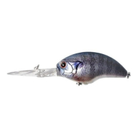 RPO45