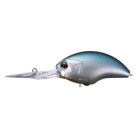 T06