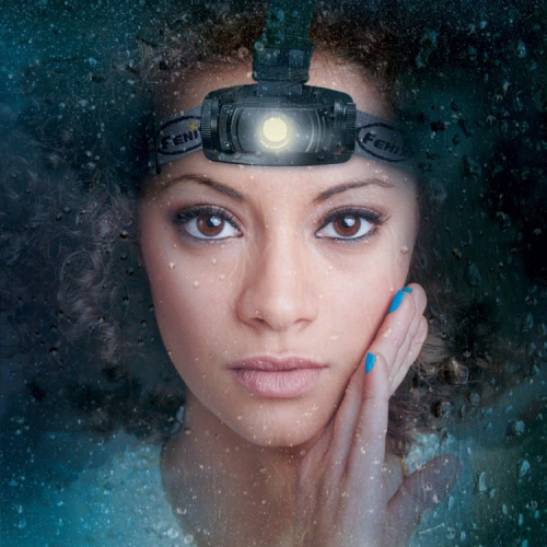 Налобный фонарь Fenix HL55 XM-L2 U2