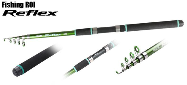Спінінг телескопічний Reflex FR 20-80г