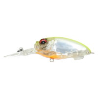 NC Hot Shad