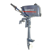 Лодочный мотор Fisher T2.5BMS