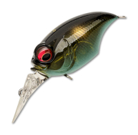 Avocado Ayu