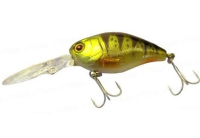 Ghost G Perch