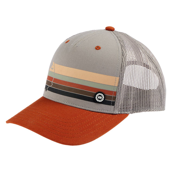 Кепка Brain Rainbow 58 Brown
