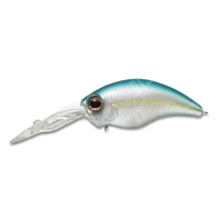 #239 BLUE BACK HELING