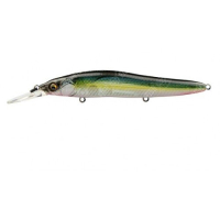 Jukucho Shad