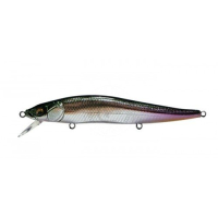 (SP-C) M Shad