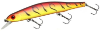 # 419 (Red Chart Tiger)