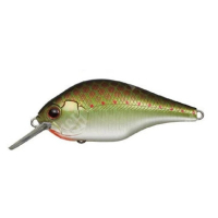 #373 OLIVE COPPER SHADT