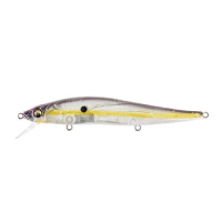 USA GP Megabass Shad