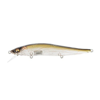USA SB OB Shad
